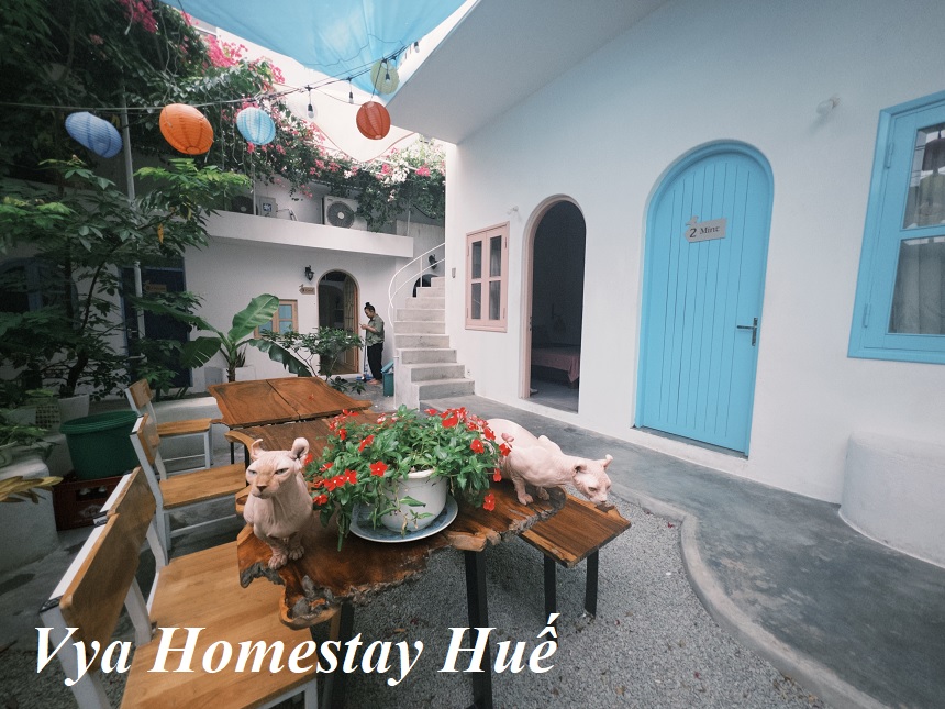 Đánh giá Vya Homestay Huế, giá phòng homestay Vya bao nhiêu?