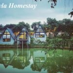 Đánh giá Kayla Homestay, giá phòng homestay Kayla bao nhiêu?