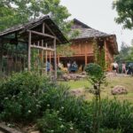 Mely Farm ở đâu? Farmstay ở Ba Vì tiện nghi và chất lượng.